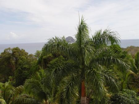 Martinique Juillet 2004